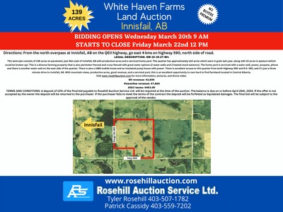 Auction E - ring ABC image